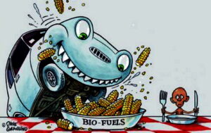 biodiesel biofuels are bad for the environment the economy and hungry people