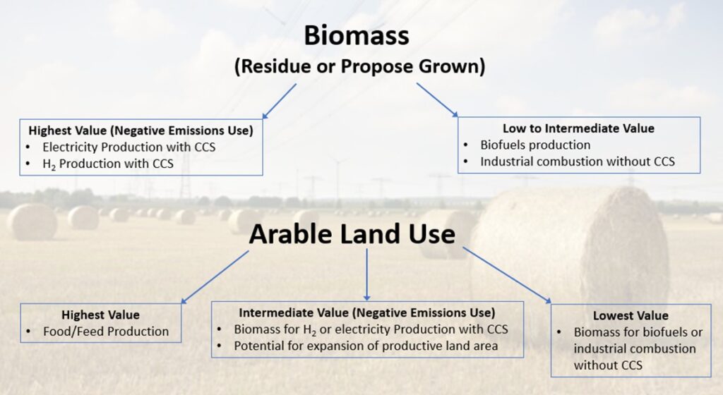 biofuels inputs vs food
