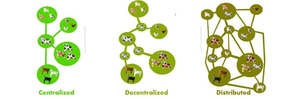 centralized decentralized distributed web graphic